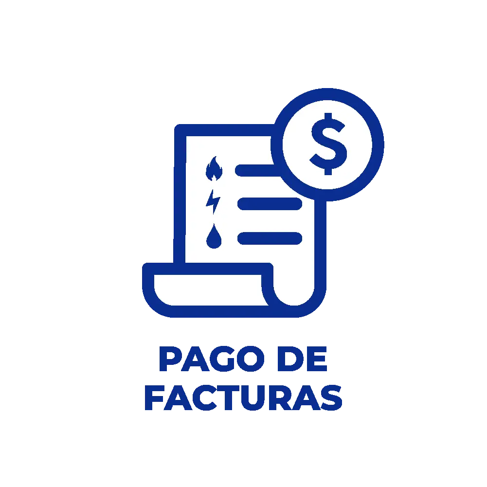 Categoría de pago de facturas