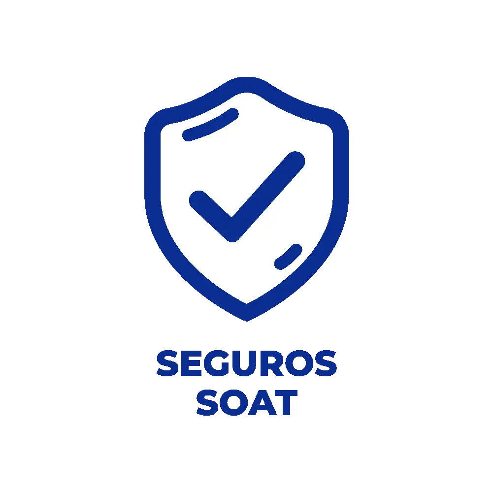 Categoría de servicios relacionados con SOAT